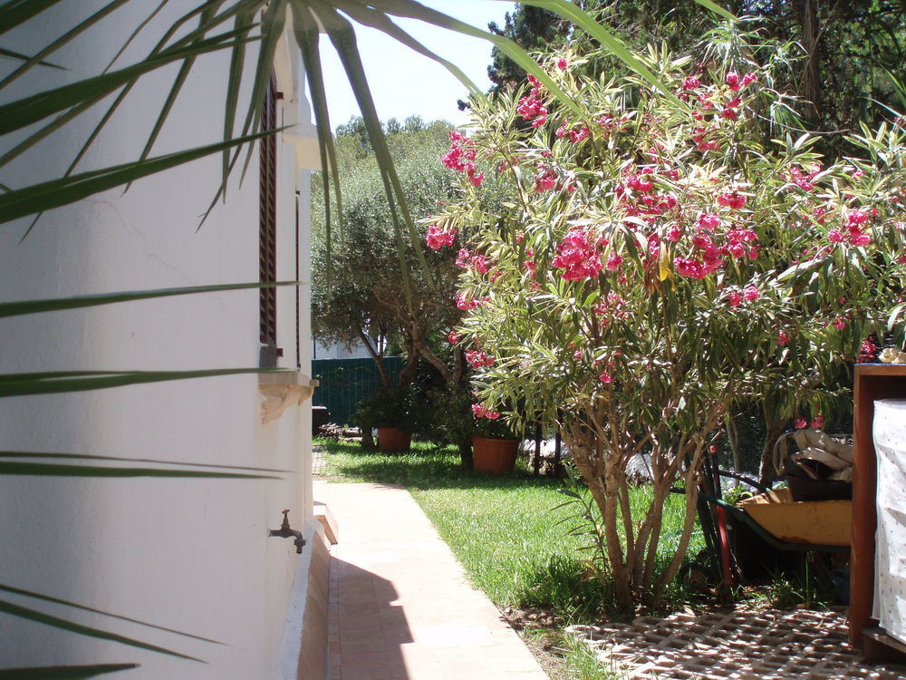 Apartamentos Osa Menor Cala D´Or Eksteriør billede