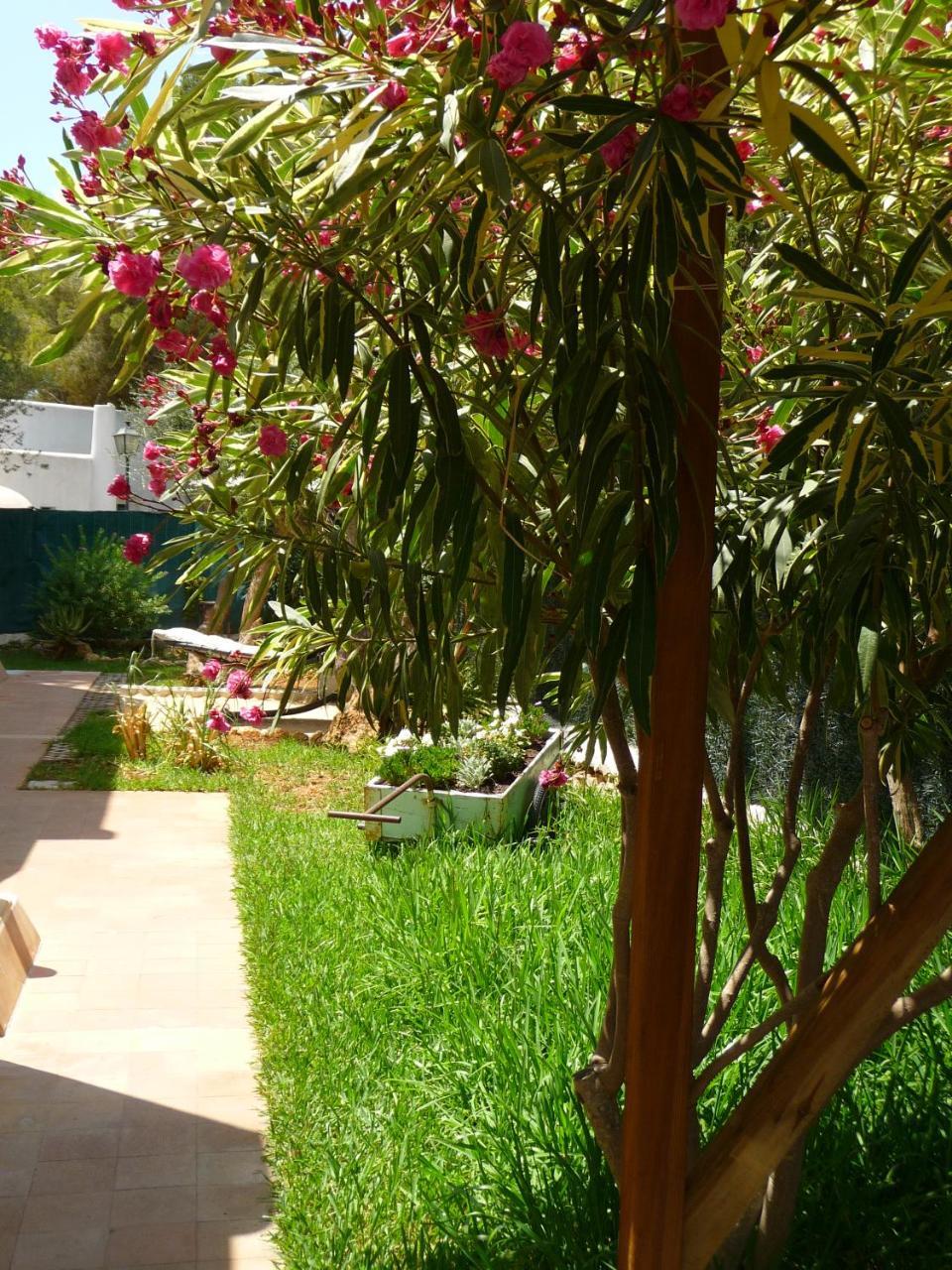 Apartamentos Osa Menor Cala D´Or Eksteriør billede